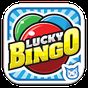 Ícone do apk Lucky Bingo