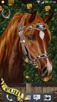 Gambar Arabian Horse Wallpaper 6