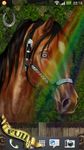 Gambar Arabian Horse Wallpaper 3