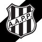 Ícone do apk Ponte Preta SporTV