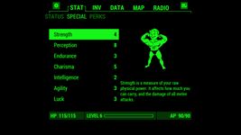 Fallout Pip-Boy imgesi 