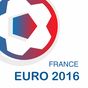 EURO 2016 - Football schedule apk icon