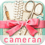 cameran collage-pic photo edit