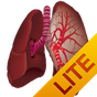 Ícone do apk Ausculta Pulmonar Lite