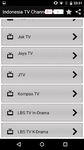 Gambar Indonesia Free TV Channels 3