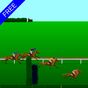 Steeplechase Horse Racing APK