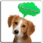 Hund-Übersetzer (Streich) APK Icon