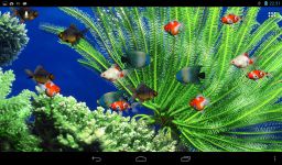 Aquarium Live Wallpaper image 3