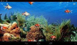 Aquarium live wallpaper image 