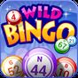 Wild Bingo-ÜCRETSİZ Bingo+Slot APK Simgesi