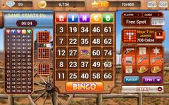 Wild Bingo GRATIS Bingo+Slots afbeelding 