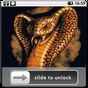 Snake Lock Screen Wallpaper apk icono