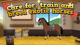 Картинка 10 Horse Academy