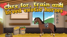 Horse Academy image 2