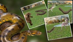 Immagine 5 di Wild Anaconda Serpente Attacco