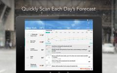 AccuWeather Platinum εικόνα 7