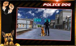 délit ville police chien chase image 4