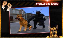 délit ville police chien chase image 3