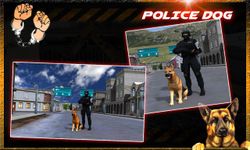 délit ville police chien chase image 22