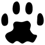 PAW Server for Android APK