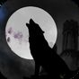 Ícone do apk Online Werewolf X