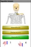 Imagem 1 do Aprende los huesos