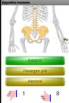 Imagem 2 do Aprende los huesos
