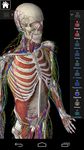 Essential Anatomy 3 for Orgs. 이미지 9