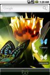 aHome Theme: Butterfly ekran görüntüsü APK 1