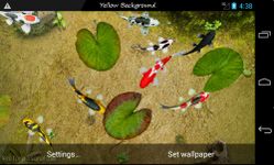 Gambar Koi Free 3D Live Wallpaper 5