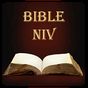 Bible NIV アイコン