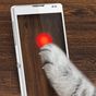 Ícone do apk ponto de Laser para o gato