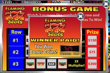 Flaming 7's Slot Machine image 6