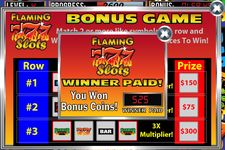 Flaming 7's Slot Machine image 13