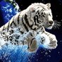 Ícone do apk 3D Tiger