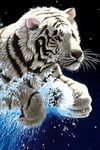 Imagem 1 do 3D Tiger