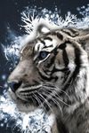 Imagem 6 do 3D Tiger