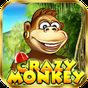 Crazy Monkey APK Icon