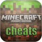 Ícone do apk Top Tricks for minecraft