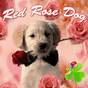 Red Rose Dog Theme GO Launcher APK