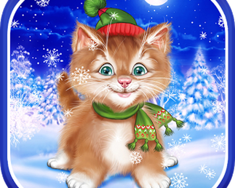 Cat Live Wallpaper Free Download - PetsWall