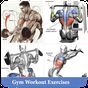 Gym Workout Exercises apk icon