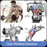 Картинка 9 Упражнения для тренировок в тренажерном зале