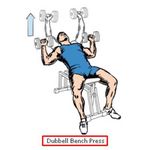 Картинка 5 Упражнения для тренировок в тренажерном зале