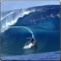 Ícone do LIVE SURF Video WALLPAPER