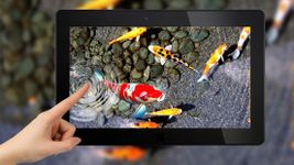 Koi Fish Wallpaper HD - 3D Fish Live Wallpaper afbeelding 3