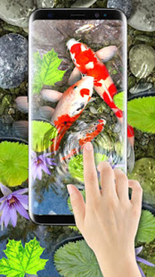 Tải miễn phí APK Koi Fish Wallpaper HD - 3D Fish Live Wallpaper Android