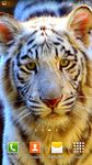 White Tiger Live Wallpaper image 7