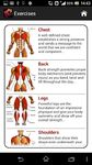 Dumbbell Muscle Workout Plan T Bild 1