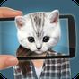 APK-иконка Сканер лица: Какой кот 2